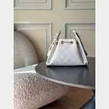 2026 CC 25 Mini Handbag AS5631