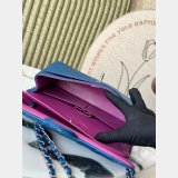 2026 CC Flap Lambskin handbag 20cm/25cm