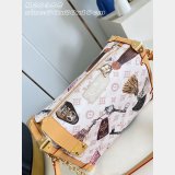 Louis Vuitton Side Trunk GM Best Monogram Canvas M29355 Bag
