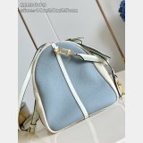Louis Vuitton Top Quality M13668 Wholesale Designer Bag