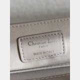Christian Dior Lady 20CM Women's Designer AAA+ Bag