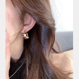 2026 LUXURY WOMEN EARING
