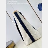Louis Vuitton Escale Antigua M28503 Tote 7 Star Bag
