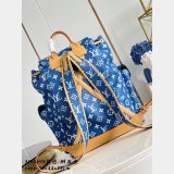 Louis Vuitton M55699 Christopher MM Monogram Taurillon Leather Bags