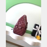 Top Quality 1:1 AS5631 & AS5293 Summer 2026 25 Hobo Bag