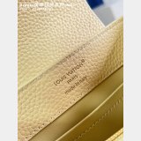 Louis Vuitton 7 Star M28716/M29443/M29500 Capucines Mini Bag