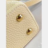 Louis Vuitton 7 Star M28716/M29443/M29500 Capucines Mini Bag