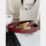 celine replica Triomphe belt  25MM Dolabuy